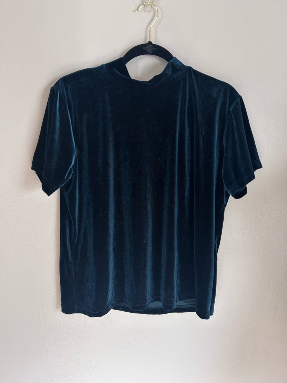 Vintage Impressions of California | green faux velvet mock neck top